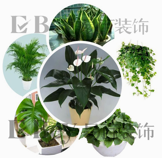 冬季裝修你不得不知道的幾個事